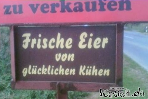 Frische (Kuh)eier zu verkaufen Frische (Kuh)eier zu verkaufen