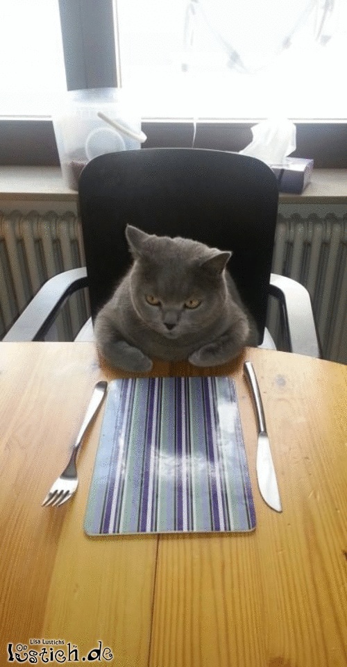 Ich habe wirklich Hunger