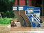 Telefon unter Wasser