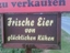 Frische (Kuh)eier zu verkaufen