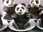 Pandatörtchen