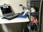 Katze am Computer