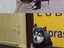 Wartender Hund