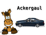 Ackergaul