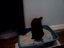 Tanzende Katze Tanzende Katze